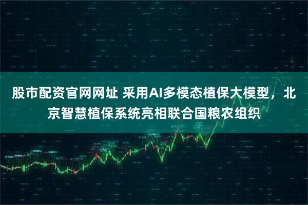 股市配资官网网址 采用AI多模态植保大模型，北京智慧植保系统亮相联合国粮农组织